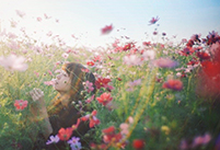 加工やプリントで更なる面白さに出会える写真の魅力―インスタグラマーSherry_1113さんインタビュー―