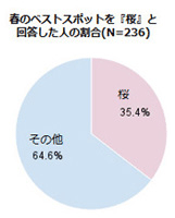 どの種類のカメラを好んで利用していますか？の結果グラフ