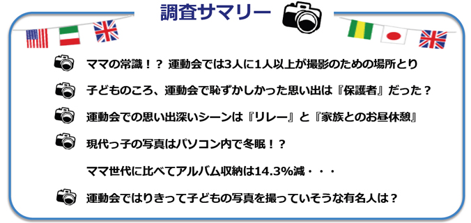 調査サマリーのテキスト図