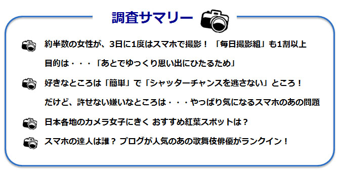 調査サマリーのテキスト図