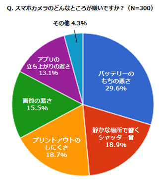 スマホカメラのどんなところが嫌いですか？？の結果グラフ