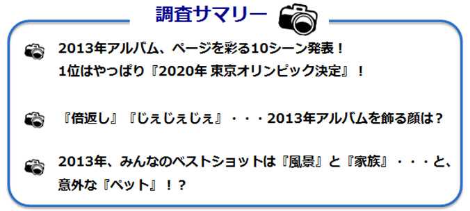 調査サマリーのテキスト図