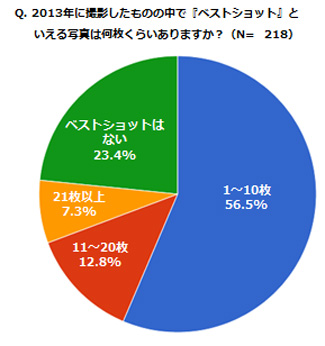 2013年に撮影したものの中で「ベストショット」と言える写真は何枚くらいありますか？