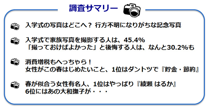 調査サマリーのテキスト図