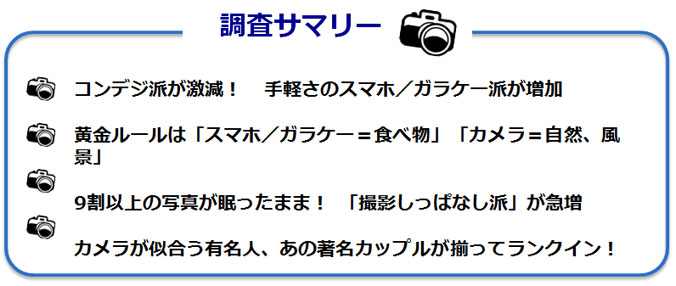 調査サマリーのテキスト図