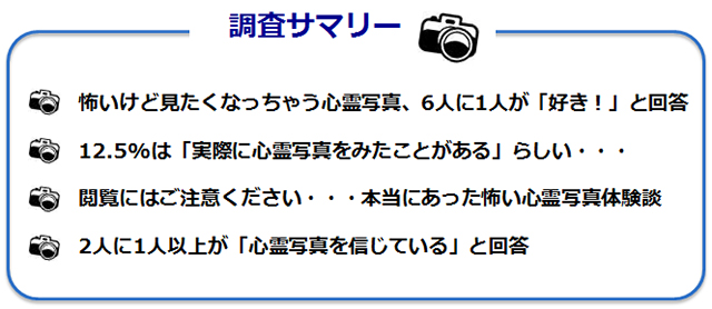 調査サマリーのテキスト図