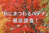 恋人と、家族と、女友達と・・・秋にいきたいスポットは？