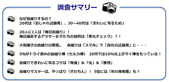 調査サマリーのテキスト図