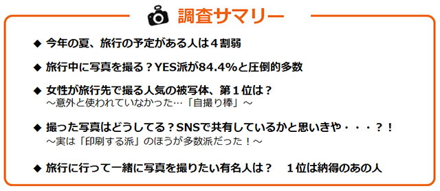 調査サマリーのテキスト図