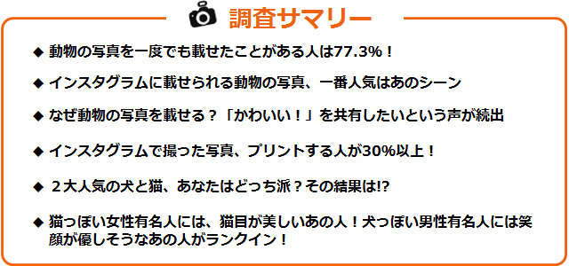 調査サマリーのテキスト図