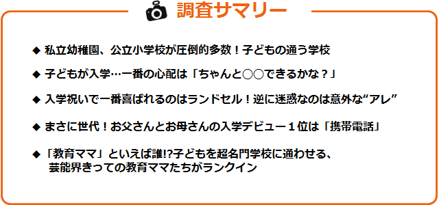 調査サマリーのテキスト図