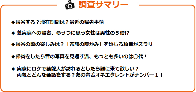 調査サマリーのテキスト図