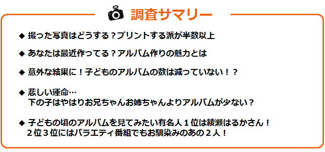 調査サマリーのテキスト図