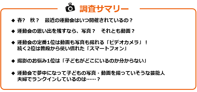 調査サマリーのテキスト図